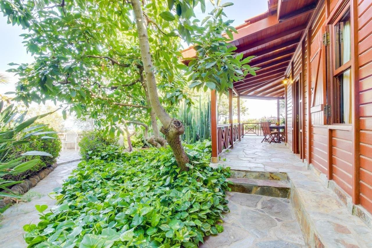 Villa Mimosa Arafo Extérieur photo